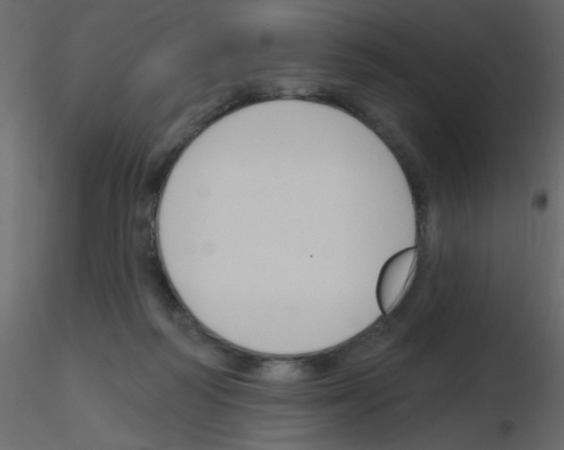 X0000115770218200912241756