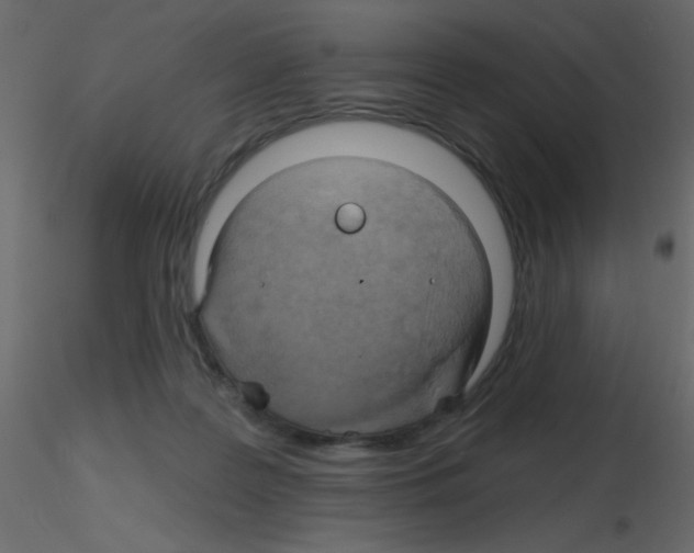 X0000115770219200912241756