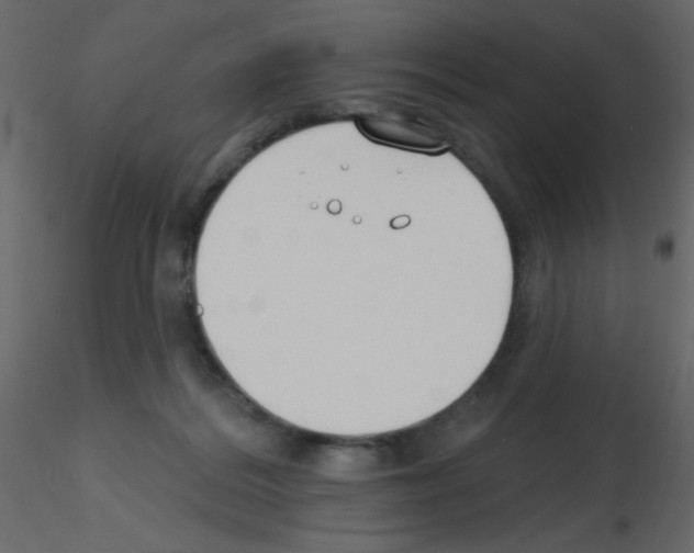 X0000115770220200912241756