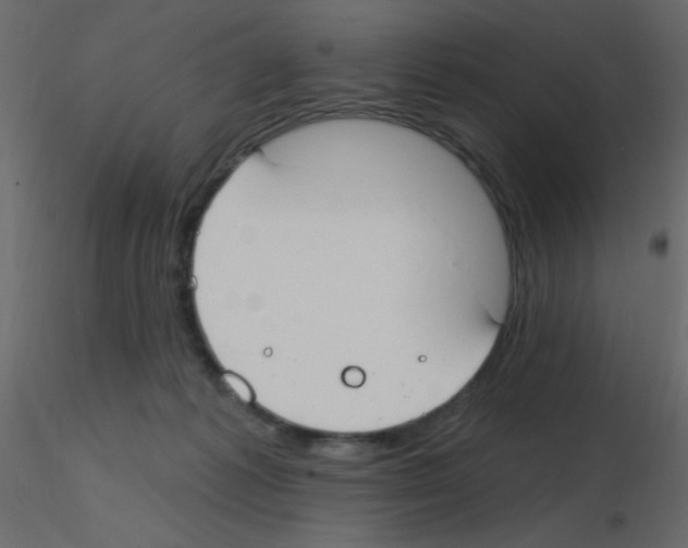 X0000115770221200912241756