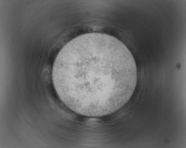 X0000115770222200912241756