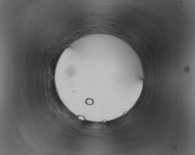 X0000115770223200912241756