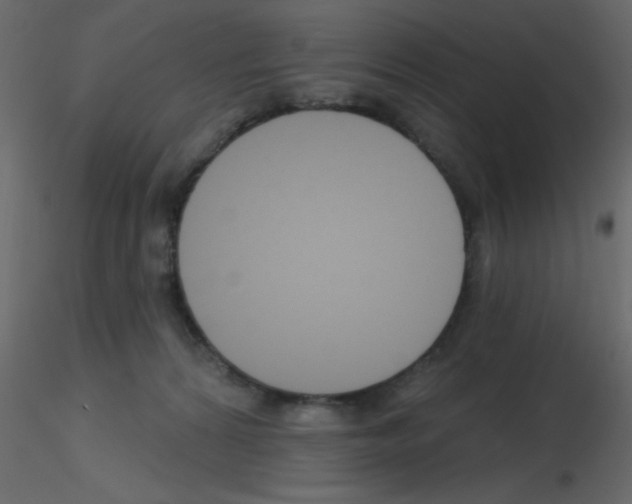 X0000115770224200912241756