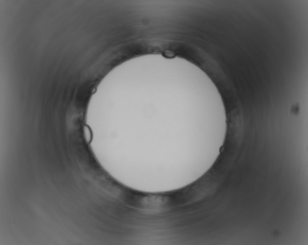 X0000115770225200912241756
