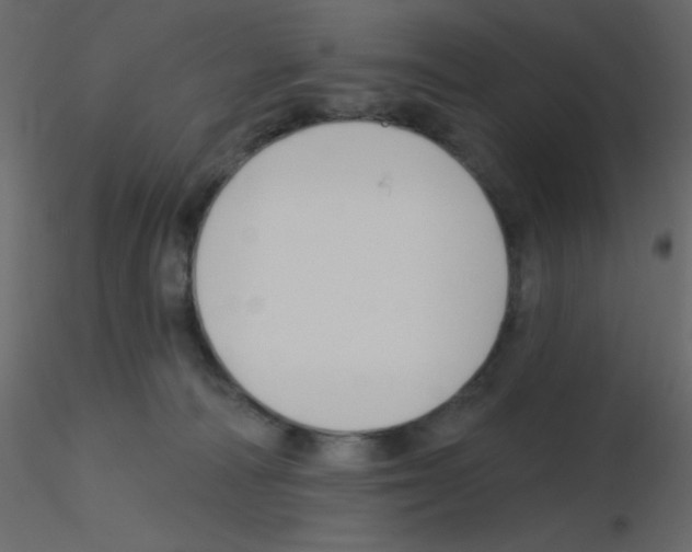 X0000115770226200912241756