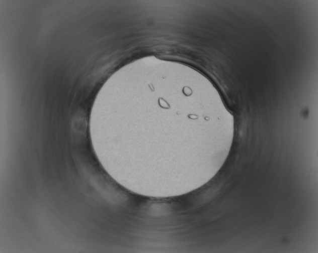 X0000115770228200912241756