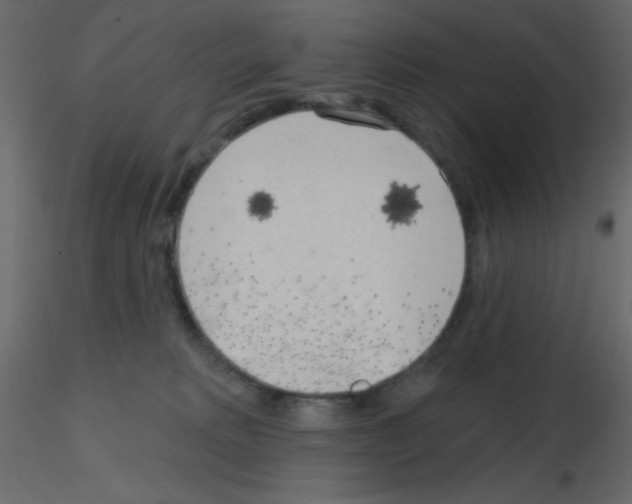 X0000115770229200912241756