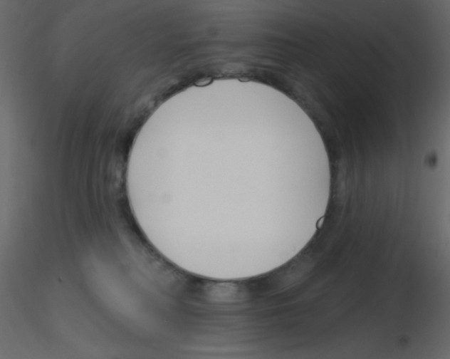 X0000115770230200912241756