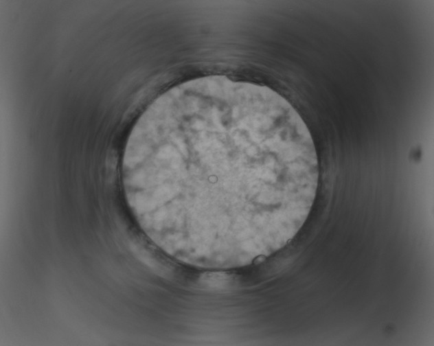 X0000115770231200912241756