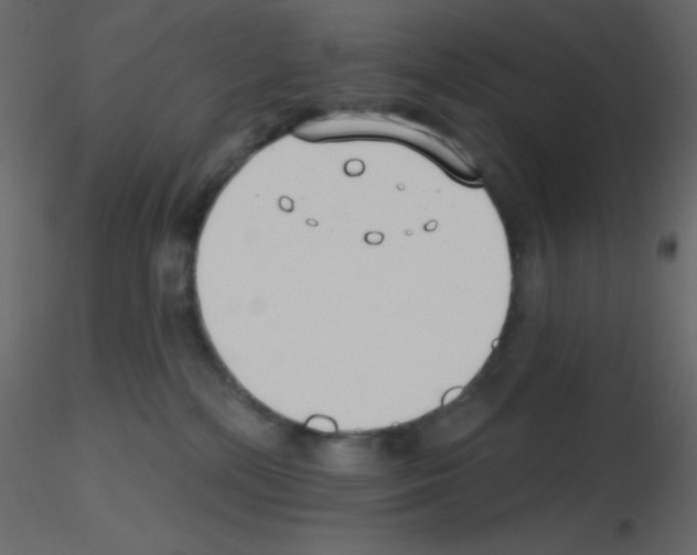 X0000115770232200912241756