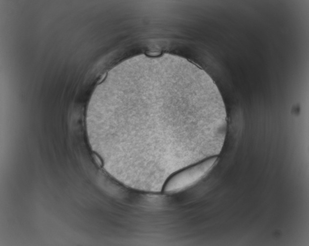 X0000115770233200912241756