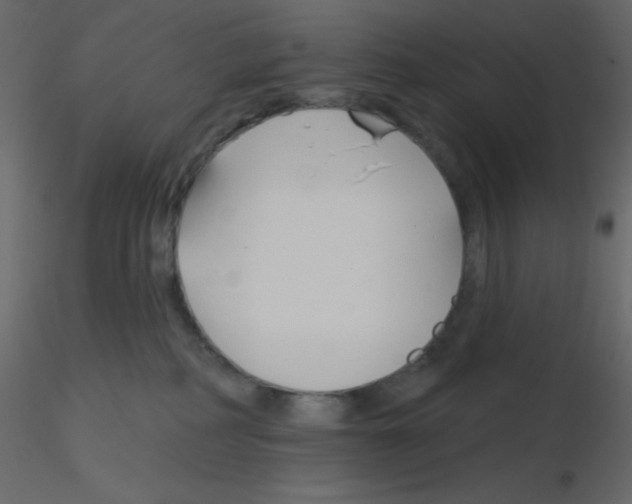 X0000115770234200912241756
