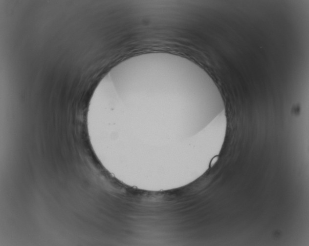 X0000115770235200912241756