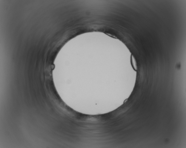 X0000115770236200912241756