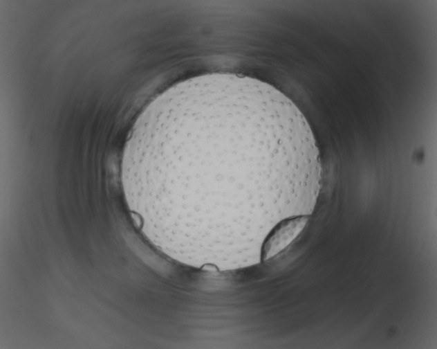 X0000115770238200912241756