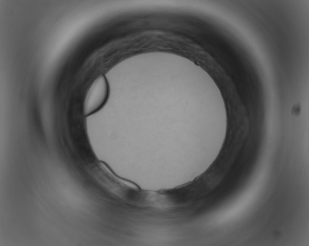 X0000115770239200912241756