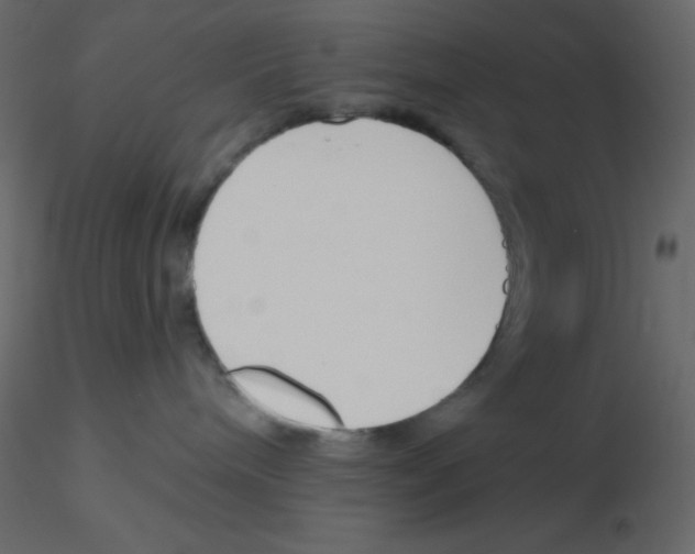 X0000115770240200912241756