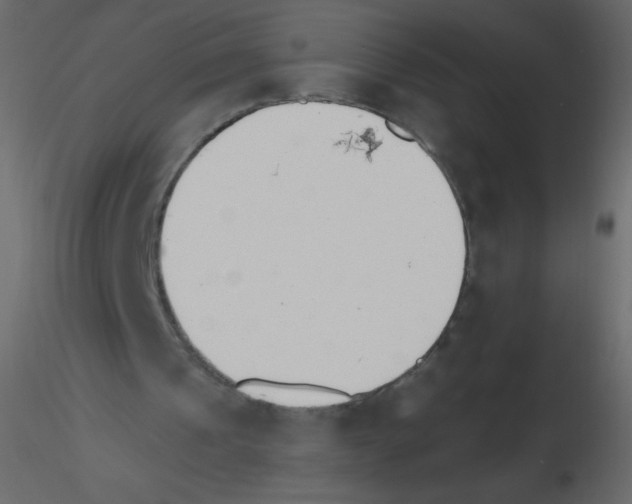 X0000115770241200912241755