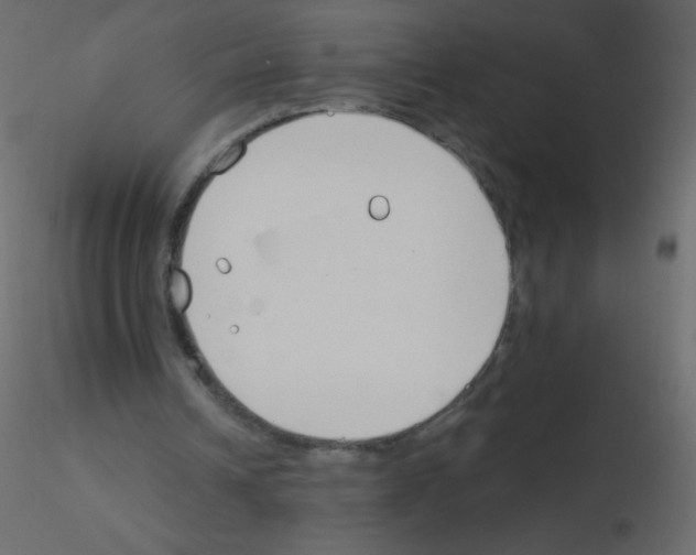 X0000115770242200912241755