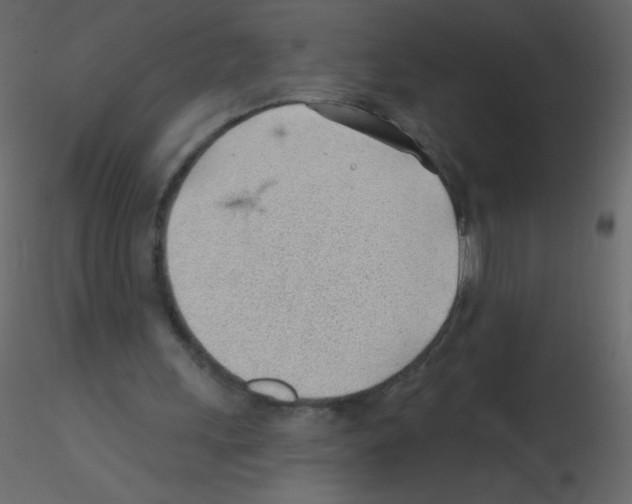 X0000115770243200912241755