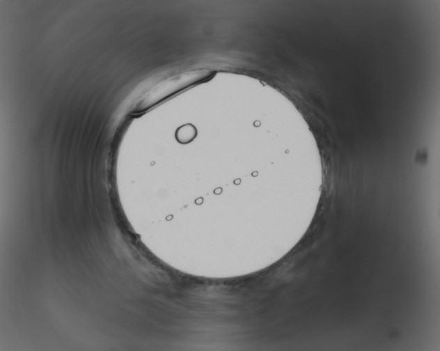X0000115770244200912241756