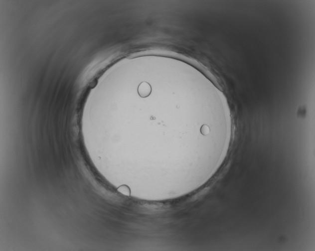 X0000115770245200912241756