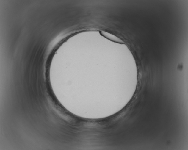 X0000115770246200912241756