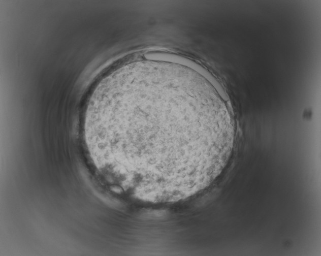 X0000115770247200912241756