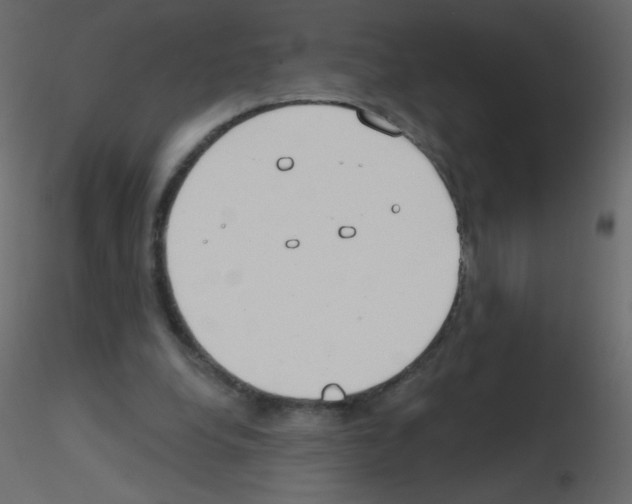X0000115770248200912241756
