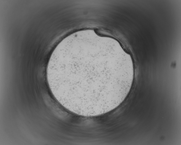 X0000115770249200912241756