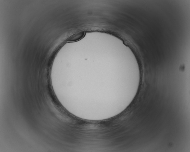 X0000115770250200912241756