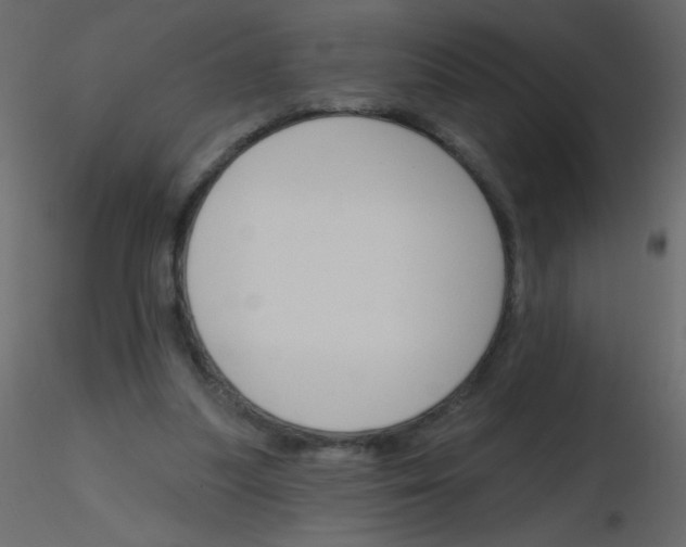 X0000115770251200912241756
