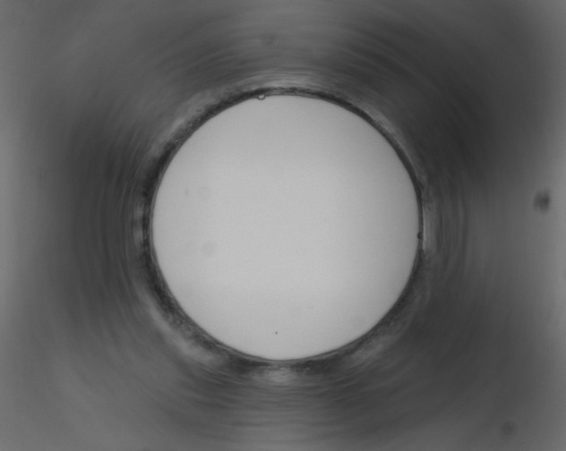 X0000115770253200912241756