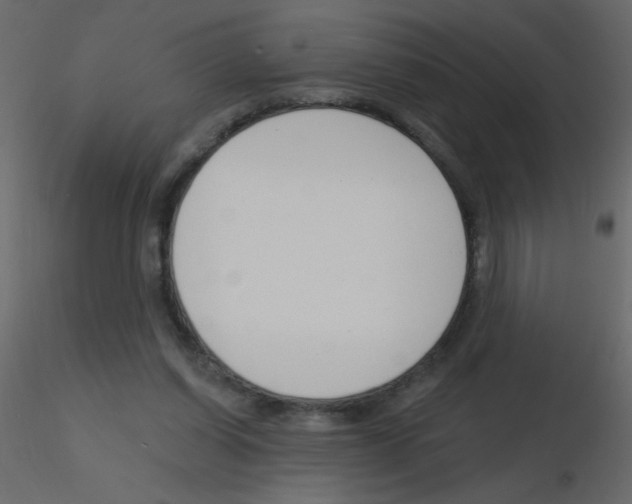 X0000115770254200912241756