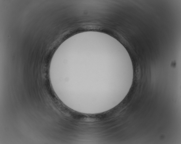 X0000115770255200912241756