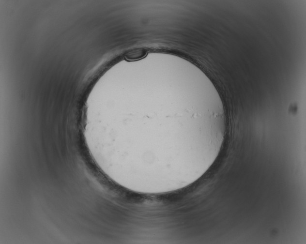 X0000115770256200912241756
