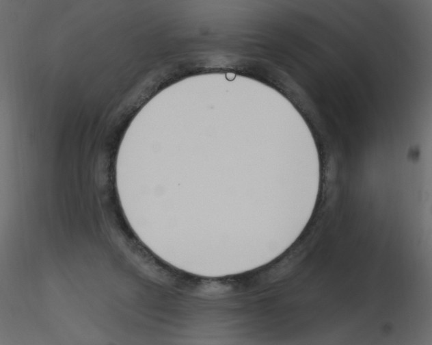 X0000115770257200912241756