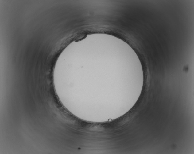 X0000115770258200912241756