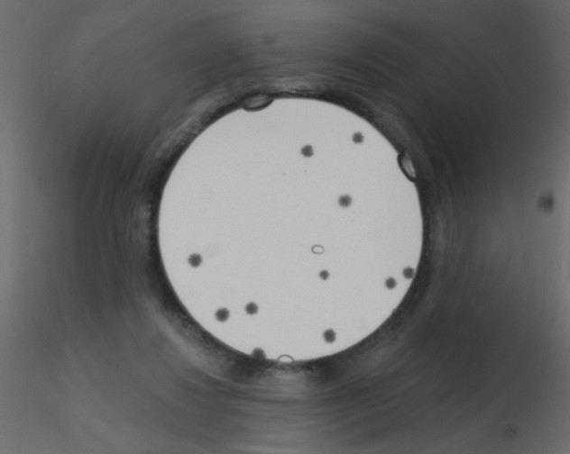 X0000115770260200912241756
