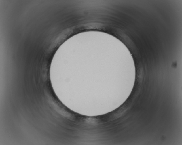 X0000115770261200912241756