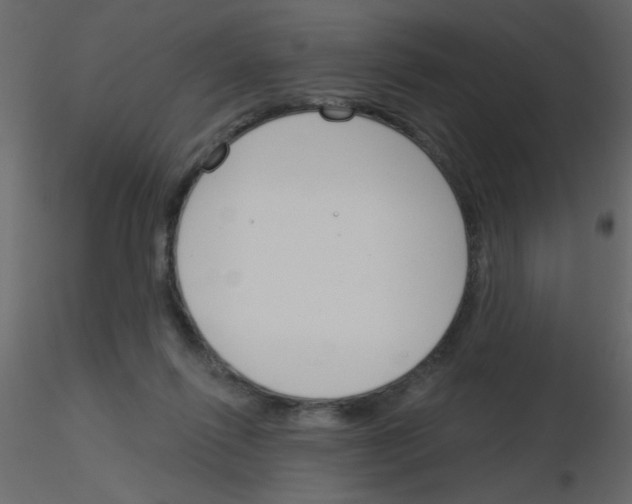 X0000115770262200912241756