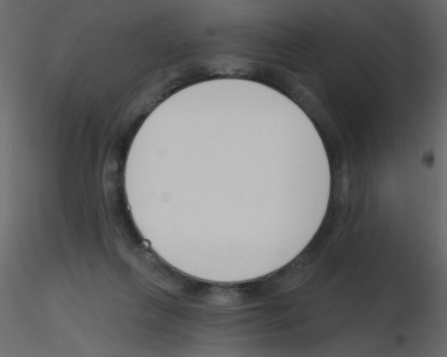 X0000115770263200912241756