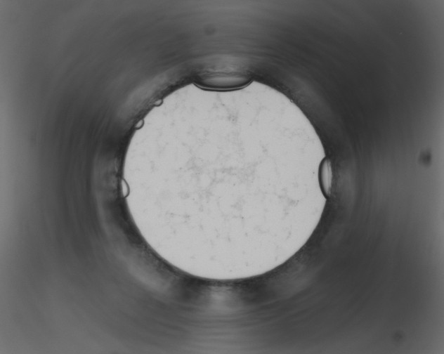 X0000115770264200912241756