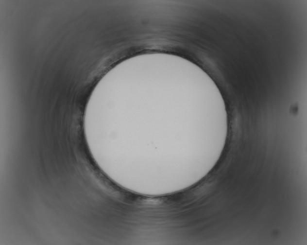 X0000115770265200912241756