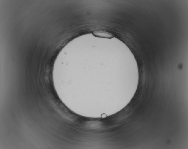 X0000115770266200912241756
