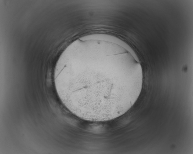 X0000115770267200912241756