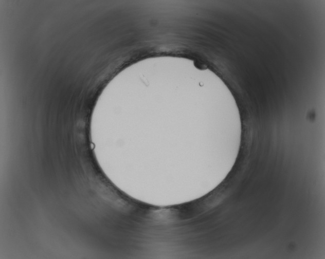 X0000115770269200912241756