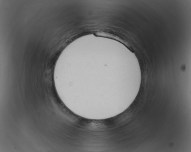 X0000115770270200912241756
