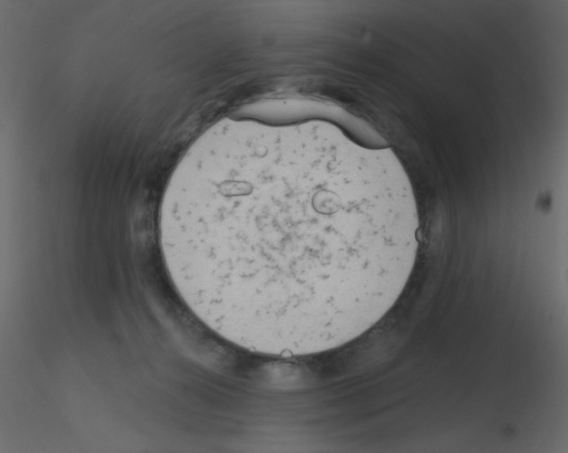 X0000115770272200912241756