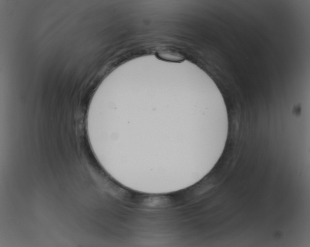 X0000115770274200912241756